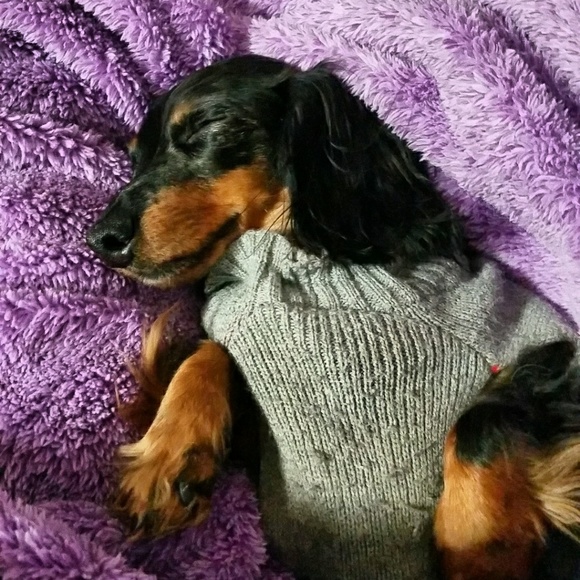 Meet your Posher, Monica - Picture 2 of 4